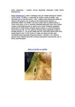 Referāts 'Izraēla', 3.