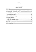 Referāts 'Eiro kā starptautiskas naudas funkcijas', 2.