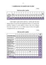 Biznesa plāns 'Salona "Pie Gunitas" reklāmas plāns', 17.