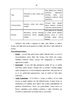 Biznesa plāns 'Salona "Pie Gunitas" reklāmas plāns', 20.