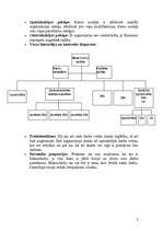Referāts 'Organizācijas struktūras analīze', 3.