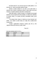 Referāts 'Mārketinga pasākumu plāns viesu mājai', 18.