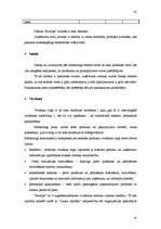 Referāts 'Mārketinga pasākumu plāns viesu mājai', 45.