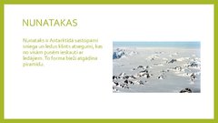 Prezentācija 'Piramīdas dabā', 4.