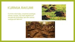 Prezentācija 'Piramīdas dabā', 9.