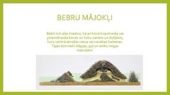 Prezentācija 'Piramīdas dabā', 10.