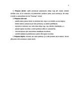 Referāts '"Flamingo" SIA mārketinga pētījums', 4.