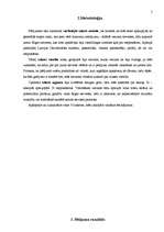 Referāts '"Flamingo" SIA mārketinga pētījums', 5.