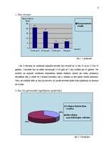 Referāts '"Flamingo" SIA mārketinga pētījums', 6.