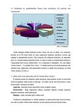 Referāts '"Flamingo" SIA mārketinga pētījums', 11.