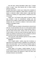 Konspekts '21.gadsimta organizācija', 3.