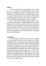 Konspekts '21.gadsimta organizācija', 5.