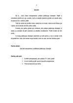 Referāts 'Amatpersonu uzstāšanās plašsaziņu līdzekļos', 3.