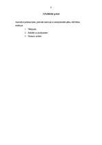 Referāts 'Amatpersonu uzstāšanās plašsaziņu līdzekļos', 9.