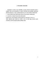 Biznesa plāns 'SIA "Bella" ', 5.