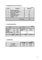 Biznesa plāns 'SIA "Bella" ', 16.