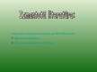 Prezentācija 'Projekta darbs "Atkritumu šķirošana"', 17.