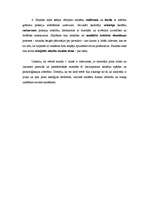 Konspekts 'Sporta stundas analīze sākumskolā', 2.