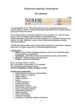 Prakses atskaite 'Prakses atskaite grāmatvedībā', 4.