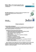 Prakses atskaite 'Prakses atskaite grāmatvedībā', 7.