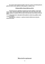 Prakses atskaite 'Prakses atskaite grāmatvedībā', 15.