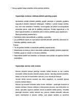 Konspekts 'Organizācijas struktūras', 4.