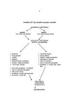 Prakses atskaite 'Alkohola lietošanas motīvi jauniešiem 16-18 gadu vecumā', 16.