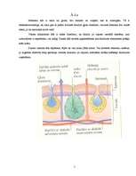 Referāts 'Abinieki', 4.