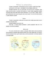 Referāts 'Abinieki', 5.