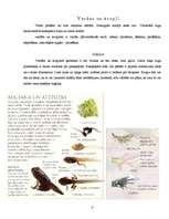 Referāts 'Abinieki', 7.