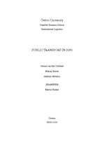 Referāts 'Public Transport in 2050', 1.