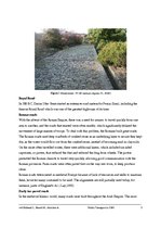 Referāts 'Public Transport in 2050', 9.