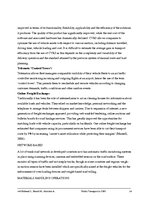 Referāts 'Public Transport in 2050', 18.