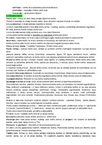 Konspekts 'Konspekts tiesību teorijā', 5.