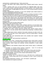 Konspekts 'Konspekts tiesību teorijā', 6.