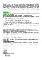 Konspekts 'Konspekts tiesību teorijā', 7.