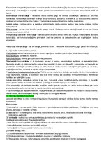 Konspekts 'Konspekts tiesību teorijā', 11.