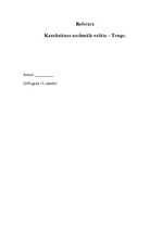 Referāts 'Kazahstānas nacionālā valūta tenge', 1.