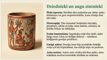 Prezentācija 'Maiju civilizācija', 17.