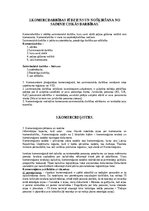 Konspekts 'Komerctiesību konspekts', 2.