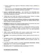 Konspekts 'Tiesību jaunrade', 5.