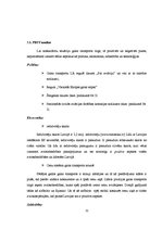 Diplomdarbs 'VAS Starptautiskās lidostas "Rīga" attīstības iespējas transnacionālo gaisa pārv', 31.