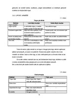 Diplomdarbs 'VAS Starptautiskās lidostas "Rīga" attīstības iespējas transnacionālo gaisa pārv', 38.