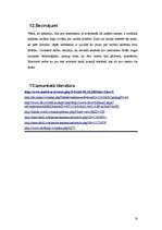 Referāts 'Informācijas drošība mobilos sakaru tīklos', 34.