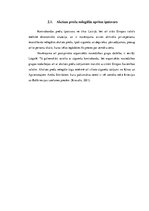 Referāts 'Akcīzes nodoklis un akcīzes preču nelegālā aprite', 11.