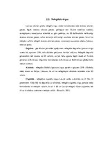 Referāts 'Akcīzes nodoklis un akcīzes preču nelegālā aprite', 12.