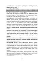 Referāts 'Ķīnas attīstība un perspektīvas 21.gadsimtā', 28.