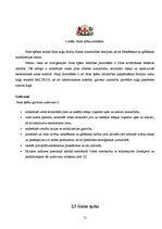 Referāts 'Jaunsargi - nākamā Latvijas Nacionālo bruņoto spēku kadru kalve', 11.