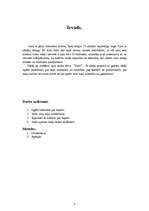 Referāts 'Suns', 2.