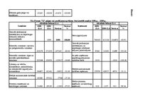 Prakses atskaite 'Finanšu analīze', 46.